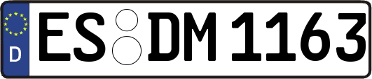 ES-DM1163