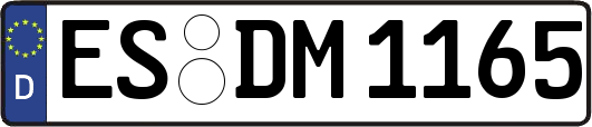 ES-DM1165