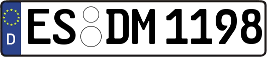 ES-DM1198