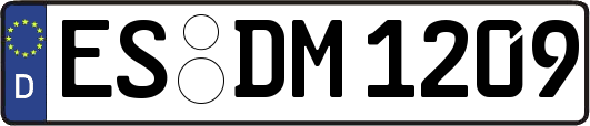 ES-DM1209