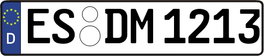 ES-DM1213