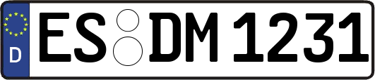 ES-DM1231