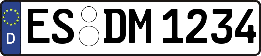 ES-DM1234