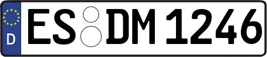 ES-DM1246