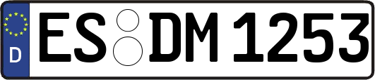 ES-DM1253