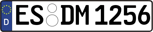 ES-DM1256