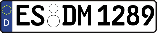 ES-DM1289