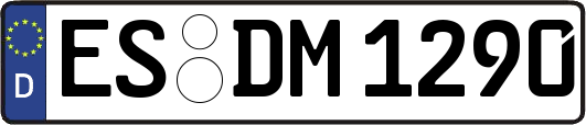 ES-DM1290
