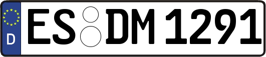 ES-DM1291