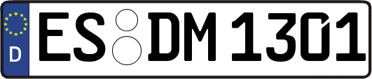 ES-DM1301