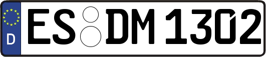 ES-DM1302