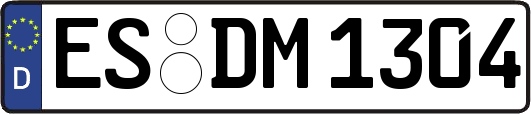 ES-DM1304