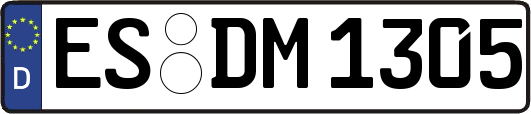 ES-DM1305