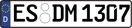 ES-DM1307