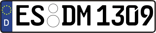 ES-DM1309