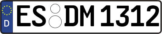 ES-DM1312