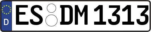 ES-DM1313