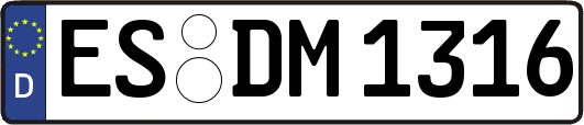 ES-DM1316