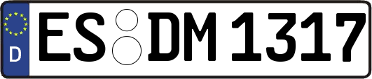 ES-DM1317