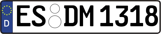 ES-DM1318