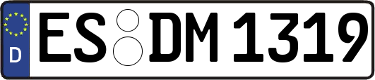 ES-DM1319