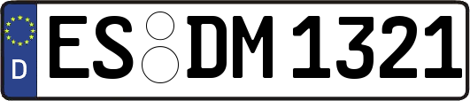 ES-DM1321