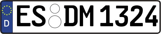 ES-DM1324