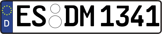 ES-DM1341