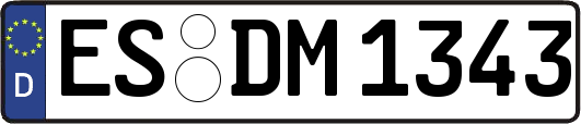 ES-DM1343
