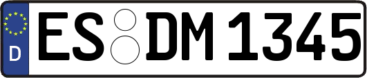 ES-DM1345