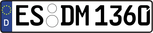 ES-DM1360