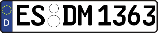 ES-DM1363