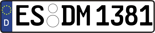 ES-DM1381