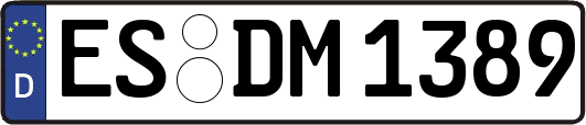 ES-DM1389