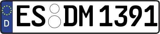 ES-DM1391