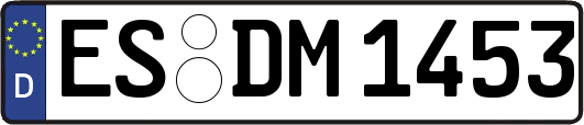 ES-DM1453