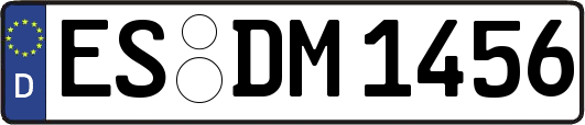 ES-DM1456