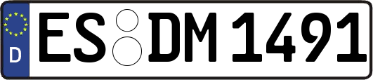 ES-DM1491