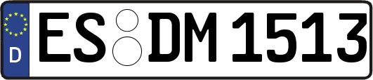 ES-DM1513