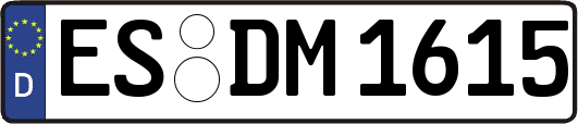 ES-DM1615