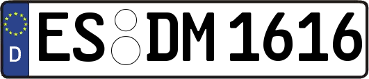 ES-DM1616