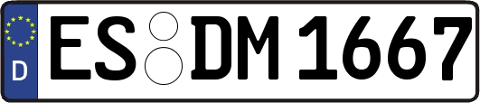 ES-DM1667
