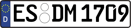 ES-DM1709