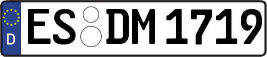 ES-DM1719