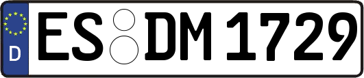 ES-DM1729