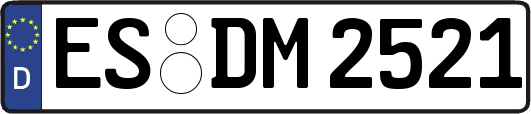 ES-DM2521