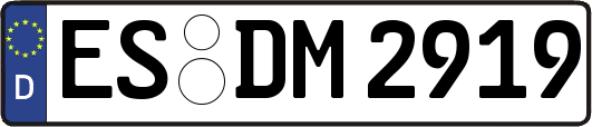 ES-DM2919
