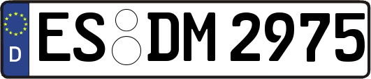 ES-DM2975