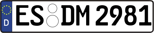 ES-DM2981