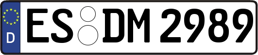 ES-DM2989